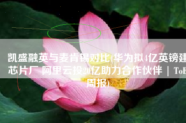 凯盛融英与麦肯锡对比(华为拟4亿英镑建芯片厂 阿里云投20亿助力合作伙伴 | ToB周报)