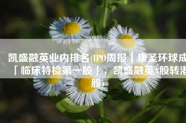 凯盛融英业内排名(IPO周报｜康圣环球成「临床特检第一股」，凯盛融英A股转港股)