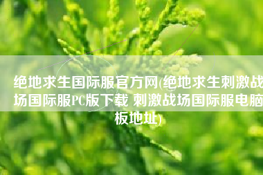 绝地求生国际服官方网(绝地求生刺激战场国际服PC版下载 刺激战场国际服电脑板地址)