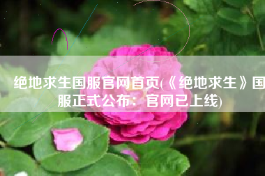 绝地求生国服官网首页(《绝地求生》国服正式公布：官网已上线)