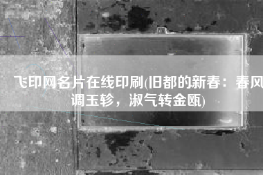飞印网名片在线印刷(旧都的新春：春风调玉轸，淑气转金瓯)