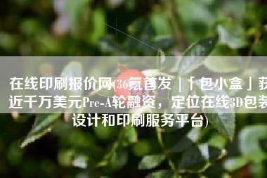 在线印刷报价网(36氪首发 |「包小盒」获近千万美元Pre-A轮融资，定位在线3D包装设计和印刷服务平台)