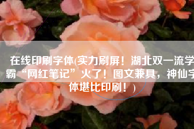 在线印刷字体(实力刷屏！湖北双一流学霸“网红笔记”火了！图文兼具，神仙字体堪比印刷！)
