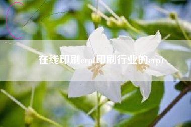 在线印刷erp(印刷行业的erp)