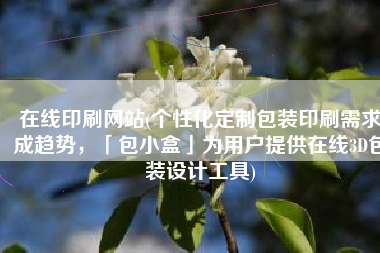 在线印刷网站(个性化定制包装印刷需求成趋势，「包小盒」为用户提供在线3D包装设计工具)