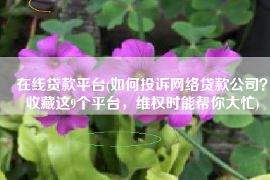 在线贷款平台(如何投诉网络贷款公司？收藏这9个平台，维权时能帮你大忙)