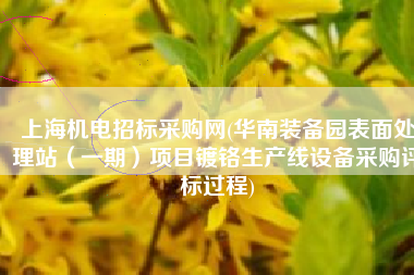 上海机电招标采购网(华南装备园表面处理站（一期）项目镀铬生产线设备采购评标过程)
