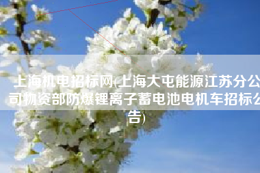 上海机电招标网(上海大屯能源江苏分公司物资部防爆锂离子蓄电池电机车招标公告)