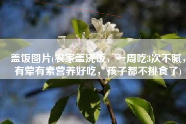 盖饭图片(农家盖浇饭，一周吃3次不腻，有荤有素营养好吃，孩子都不挑食了)