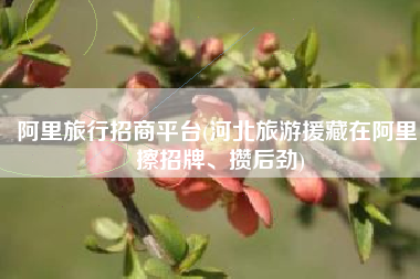 阿里旅行招商平台(河北旅游援藏在阿里：擦招牌、攒后劲)