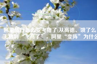 阿里旅行怎么变飞猪了(从高德、饿了么、飞猪到“飞高了”，阿里“变阵”为什么)