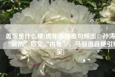 盖饭是什么梗(虎年春晚金句频出：孙涛“破防”后又“内卷”，马丽谐音梗引爆笑)