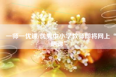 一师一优课(优秀中小学教师即将网上“晒课”)
