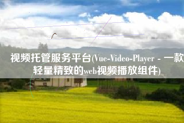 视频托管服务平台(Vue-Video-Player - 一款轻量精致的web视频播放组件)