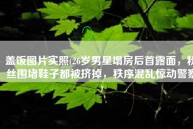 盖饭图片实照(26岁男星塌房后首露面，粉丝围堵鞋子都被挤掉，秩序混乱惊动警察)