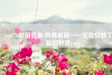 vip126邮箱登录(网易邮箱——无处安放丁磊的野望)