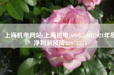 上海机电网站(上海机电(600835.SH)2021年度净利润预降25%-35%)