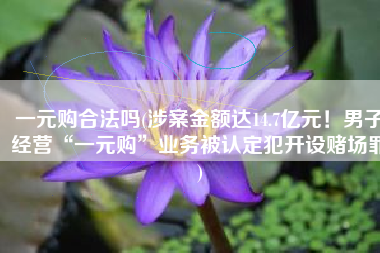 一元购合法吗(涉案金额达14.7亿元！男子经营“一元购”业务被认定犯开设赌场罪)