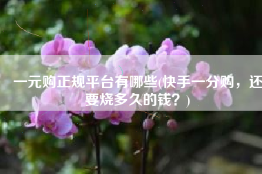 一元购正规平台有哪些(快手一分购，还要烧多久的钱？)