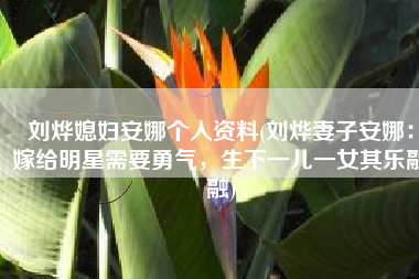 刘烨媳妇安娜个人资料(刘烨妻子安娜：嫁给明星需要勇气，生下一儿一女其乐融融)