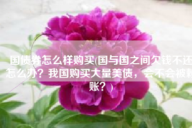 国债券怎么样购买(国与国之间欠钱不还怎么办？我国购买大量美债，会不会被赖账？)