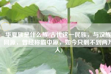 华夏族是什么族(古代这一民族，与汉族同源，曾经称霸中原，如今只剩不到两万人)
