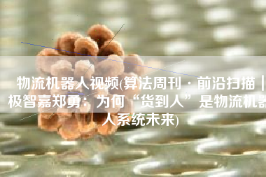 物流机器人视频(算法周刊·前沿扫描｜极智嘉郑勇：为何“货到人”是物流机器人系统未来)