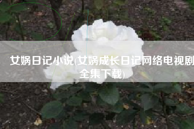 女娲日记小说(女娲成长日记网络电视剧全集下载)