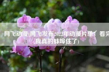 网飞动漫(网飞发布2022年动漫片单，看完我真的蚌埠住了)