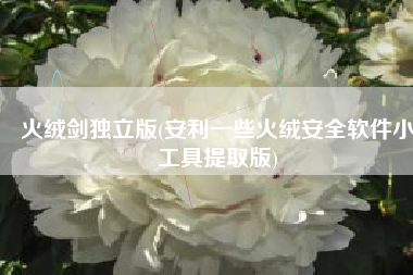 火绒剑独立版(安利一些火绒安全软件小工具提取版)