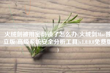 火绒剑被用密码锁了怎么办(火绒剑Mac独立版(高级系统安全分析工具)v1.0.0.0免费版)