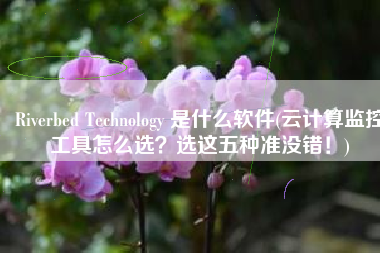 Riverbed Technology 是什么软件(云计算监控工具怎么选？选这五种准没错！)