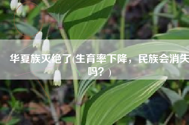 华夏族灭绝了(生育率下降，民族会消失吗？)