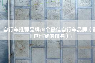 自行车推荐品牌(10个最佳自行车品牌（基于世巡赛的排名）)