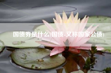 国债券是什么(国债-又称国家公债)