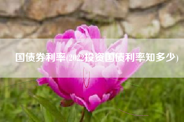 国债券利率(2022投资国债利率知多少)
