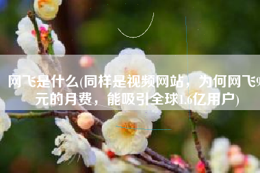 网飞是什么(同样是视频网站，为何网飞90元的月费，能吸引全球1.6亿用户)