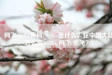 网飞netflix官网(Netflix是什么？在中国大陆怎么用Netflix/网飞/奈飞？)