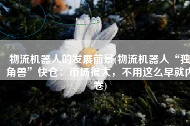 物流机器人的发展前景(物流机器人“独角兽”快仓：市场很大，不用这么早就内卷)