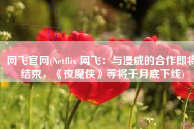 网飞官网(Netflix 网飞：与漫威的合作即将结束，《夜魔侠》等将于月底下线)