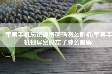 苹果手机忘记锁屏密码怎么刷机(苹果手机锁屏密码忘了肿么破解)