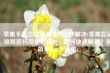 苹果手机忘记锁屏密码10秒解决(苹果忘记锁屏密码但是记得ID，如何快速解锁？很简单！8步搞定)