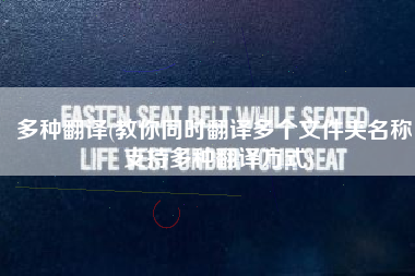 多种翻译(教你同时翻译多个文件夹名称，支持多种翻译方式)