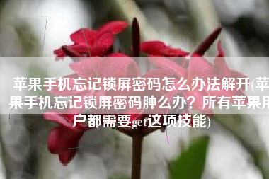 苹果手机忘记锁屏密码怎么办法解开(苹果手机忘记锁屏密码肿么办？所有苹果用户都需要get这项技能)