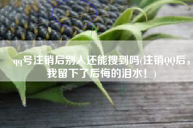 qq号注销后别人还能搜到吗(注销QQ后，我留下了后悔的泪水！)