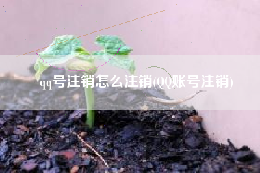 qq号注销怎么注销(QQ账号注销)