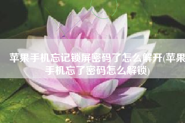 苹果手机忘记锁屏密码了怎么解开(苹果手机忘了密码怎么解锁)