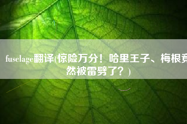 fuselage翻译(惊险万分！哈里王子、梅根竟然被雷劈了？)