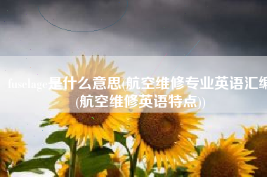 fuselage是什么意思(航空维修专业英语汇编(航空维修英语特点))