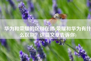 华为和荣耀的区别在哪(荣耀和华为有什么区别？这篇文章告诉你)